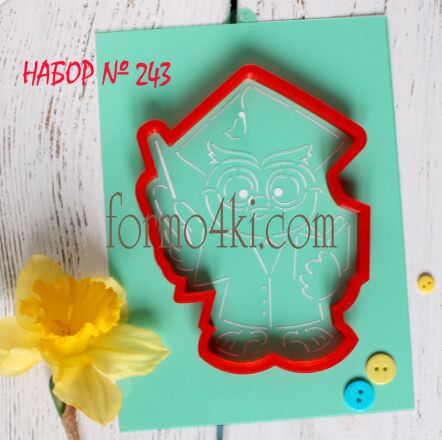 Набор №243*Мудрая сова с указкой* (626-443)