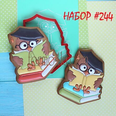 Набор №244 *Мудрая сова на книгах* (627-444)
