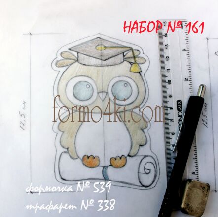 Набор №161 (*Мудрая сова *)(539-338)